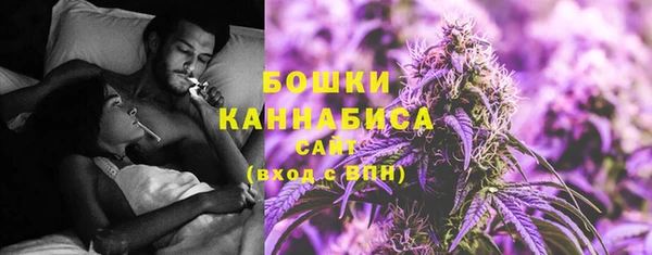 apvp Валдай