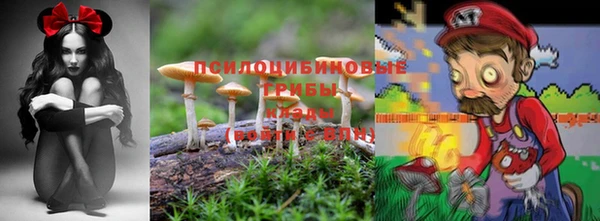 мескалин Баксан